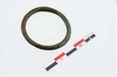 Foto von Bronzering (NHMW-PRAE-024653)